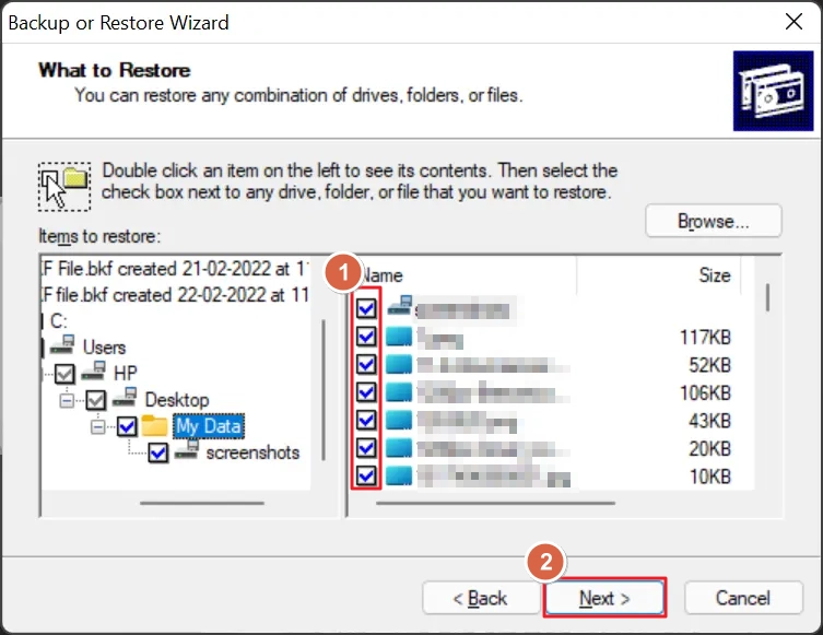 Select the data items you want to recover and click on next