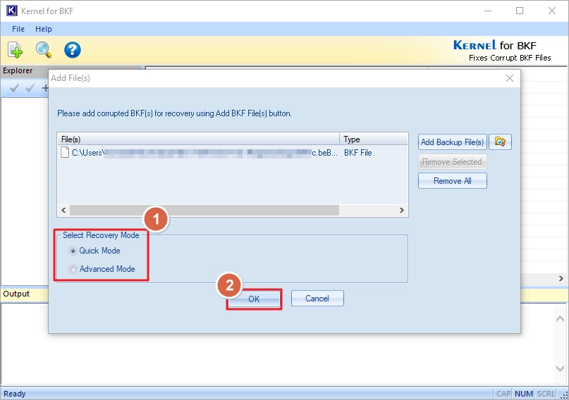 Select a recovery mode and click OK