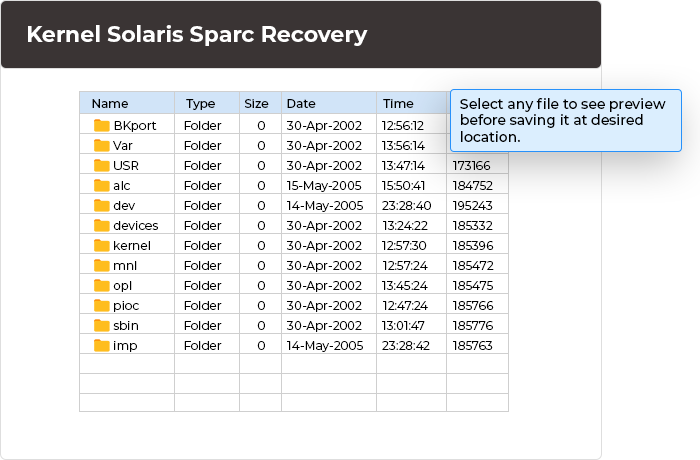 Preview and save recovered Unix files