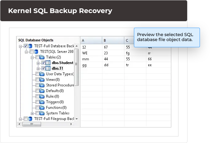 Preview the selected SQL database file object data.