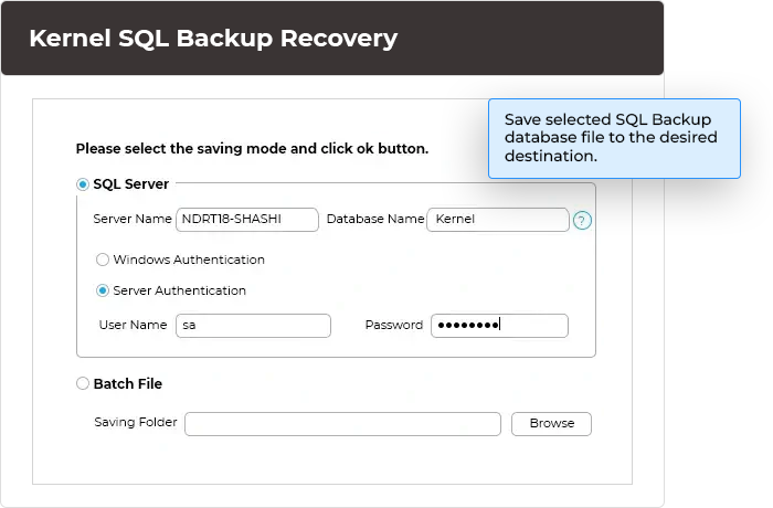 Save the selected SQL Backup database file to the desired