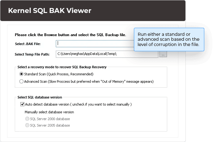 Run either a standard or advanced scan based on the level of corruption in the file.