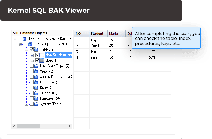 After completing the scan, you can check the table, index, procedures, keys, etc.