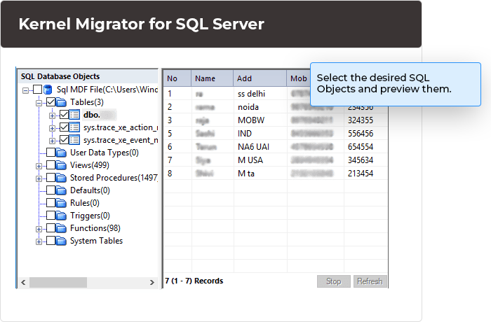 Select the desired SQL objects to get their preview