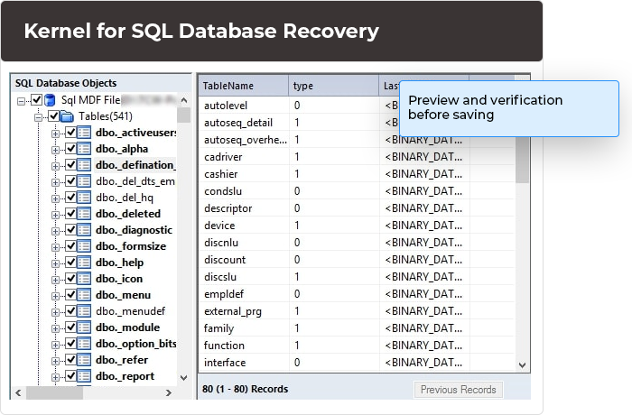 Get a preview of all SQL Database objects to verify them.
