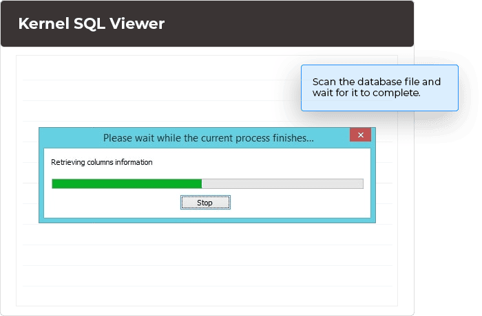 Scan the database file and wait for it to complete.