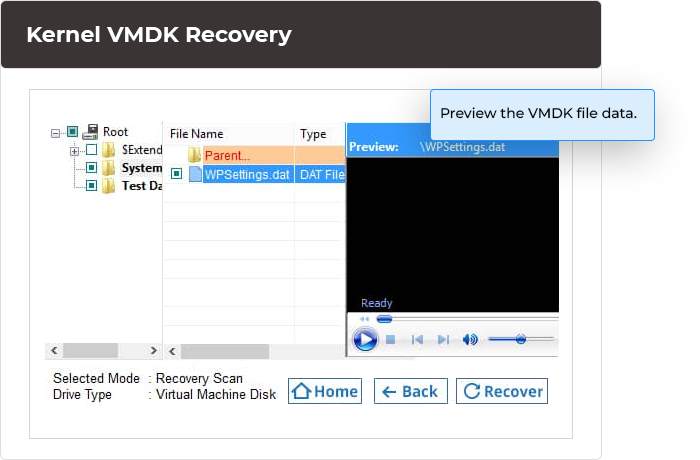 Preview the VMDK file data