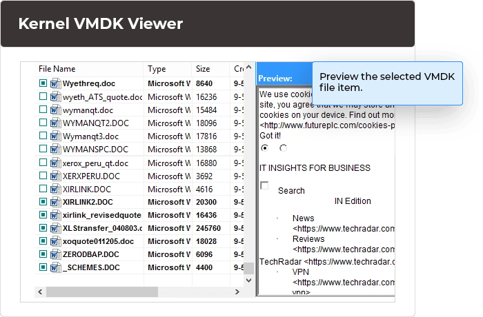 Preview the selected VMDK file item.