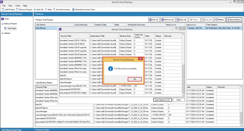The CSV file saved successfully