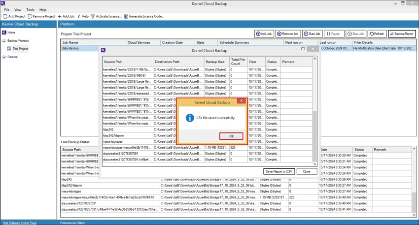 The CSV file saved successfully