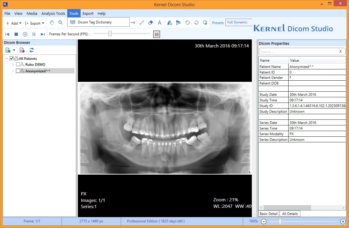 Go to Tools and select Dicom Tag Dictionary to check all the tags 