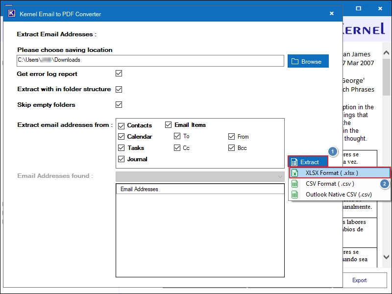 Go with XLSX Format