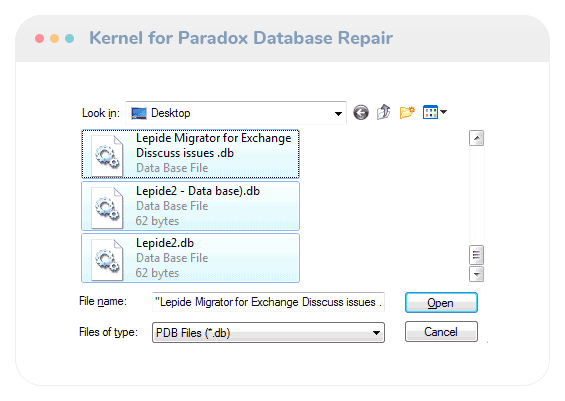Kernel for Paradox Database Repair