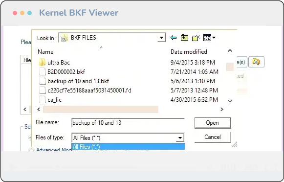 Kernel BKF Viewer