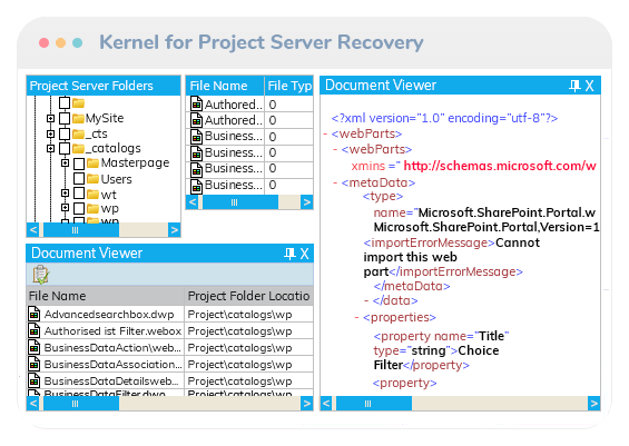 Kernel for Project Server Recovery