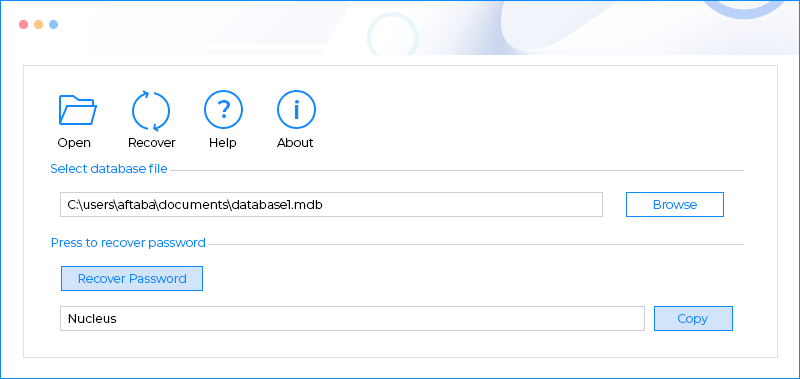 Kernel for Access Password Recovery