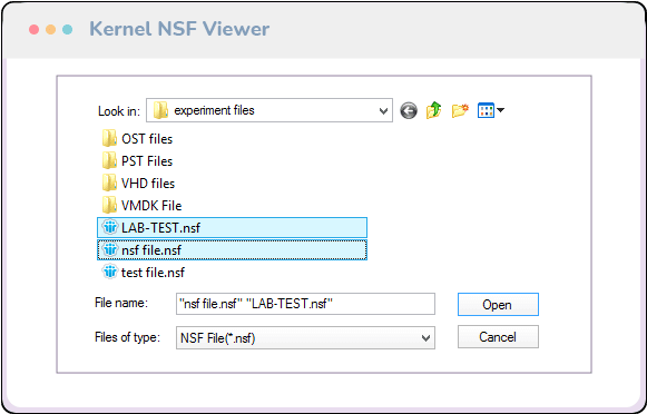 Kernel NSF Viewer