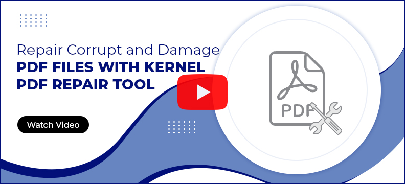 kernel pdf repair video