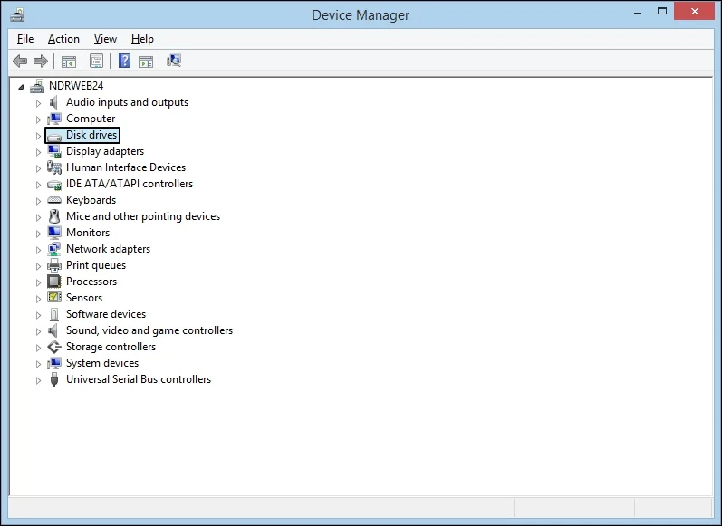 choose Disk drivers and expand it