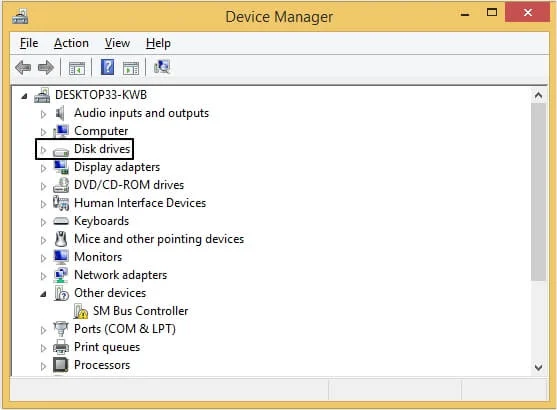 choose Disk drivers and expand it