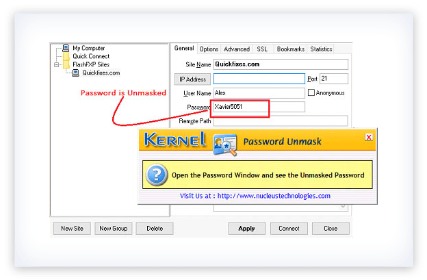 Unmask Password Tool Reveal Hidden Behind Asterisks - roblox password revealer mobile