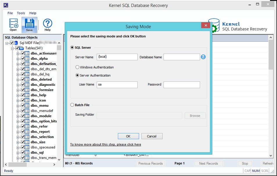 Enter the server name and database name