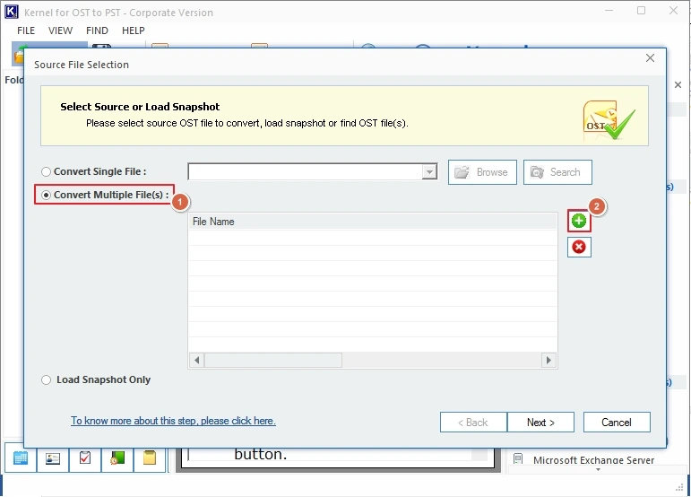 Peview of OST mailbox items before saving