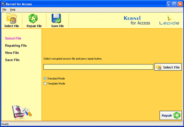 Welcome screen of Kernel for Access