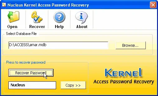 Recovered Access file Password