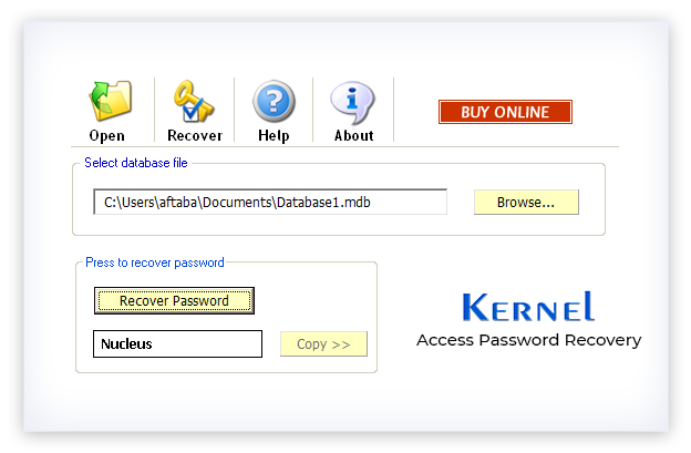 Access Password Recovery Tool - Recover MDB File Passwords