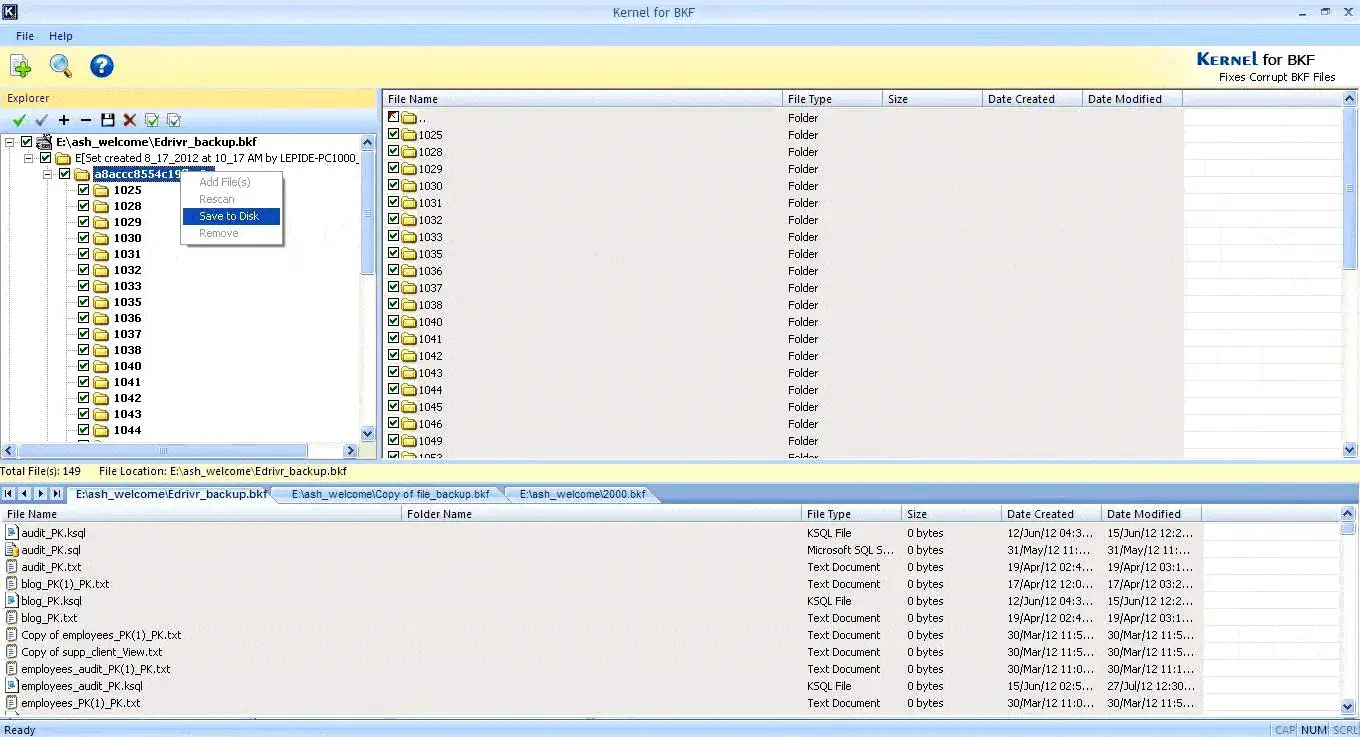 Select and save the required BKF files 