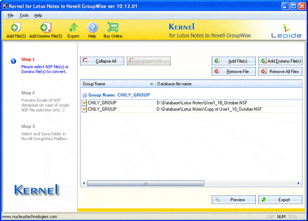 Selected NSF files get listed in the software