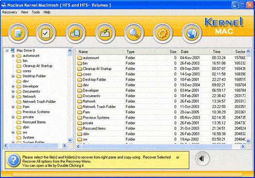 Screenshot of directory tree of entire lost files