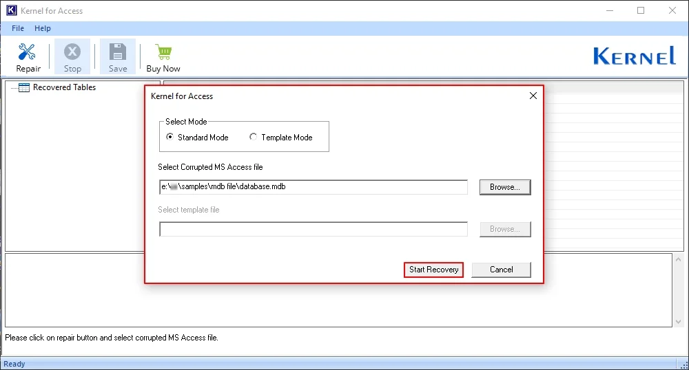 click Start Recovery