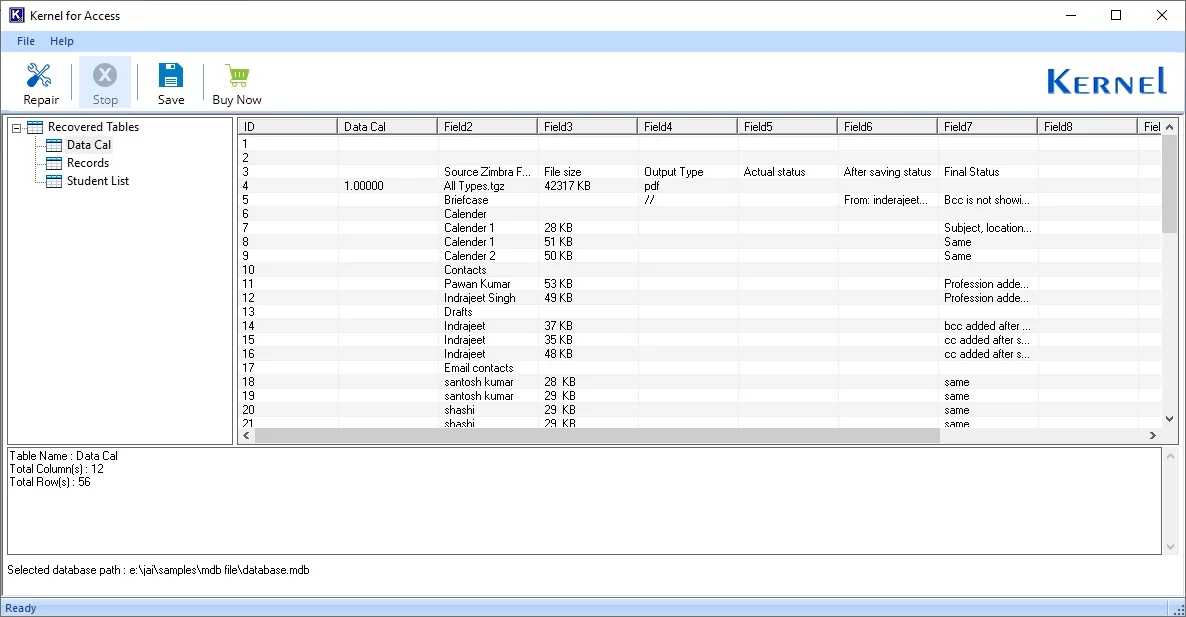 Software will preview the entire database