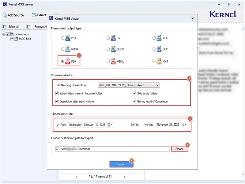 Select the pdf format