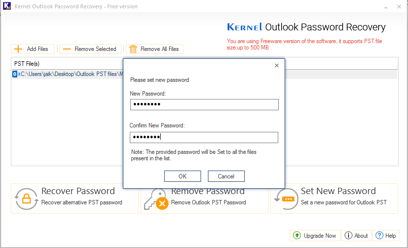 Set New Password for PST