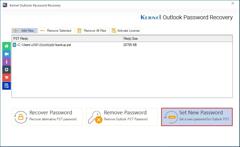 Set New Password