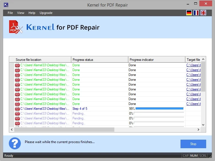 Software will begin the PDF repair process