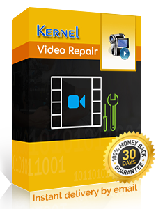 Kernel Video Repair Software