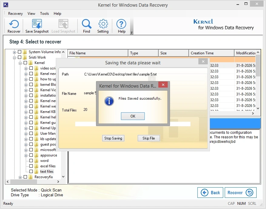 successfully recovered deleted text files