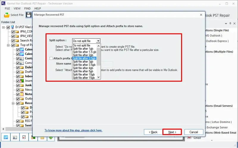 manage the large-sized recovered file
