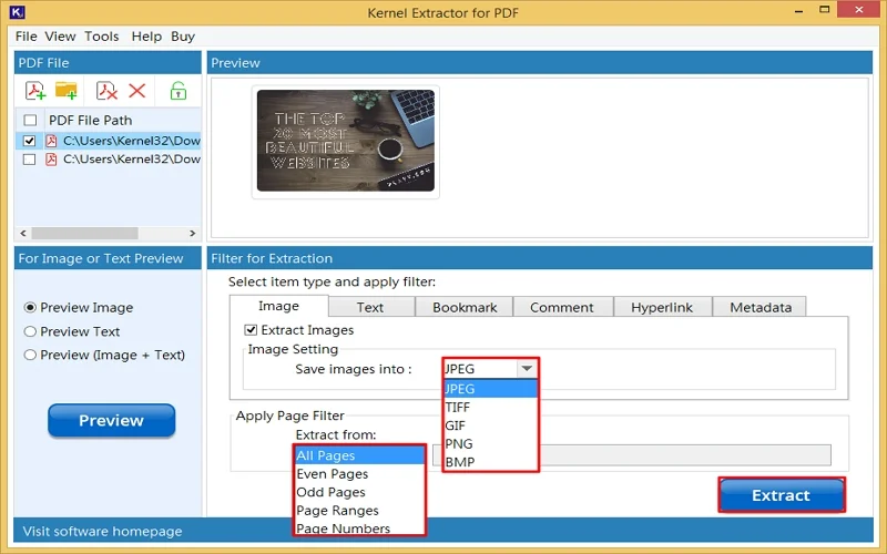 apply page filter to extract specific page images