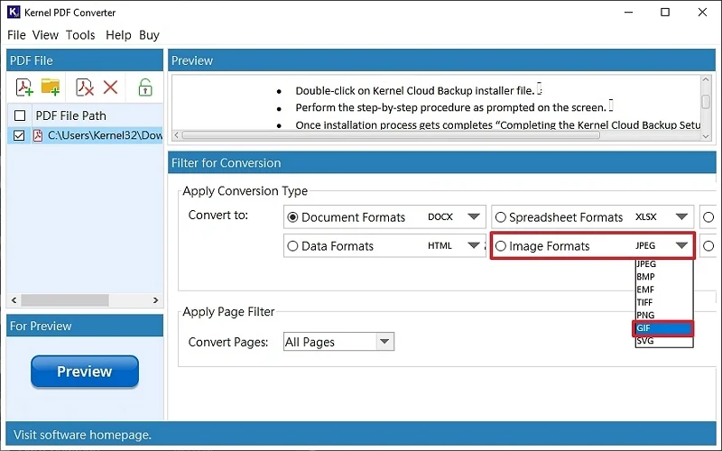 apply filter to convert pdf to image format